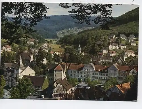 Bad Herrenalb Schwarzwald Stadtkern ngl 48.810