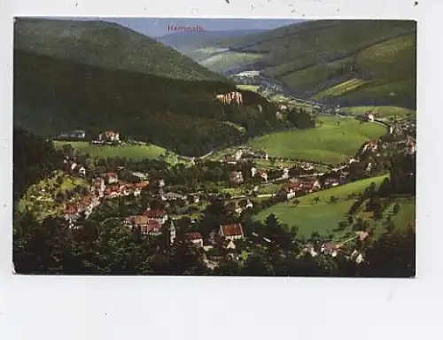 Bad Herrenalb Schwarzwald alte Ansicht gl1911 48.815