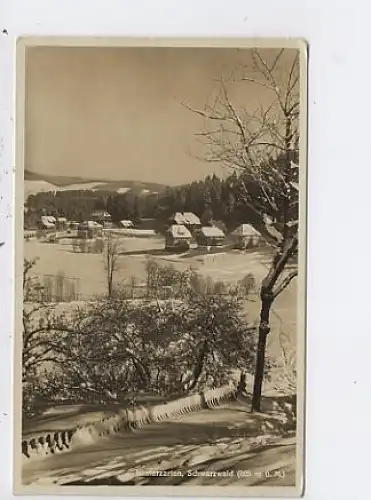 Hinterzarten Schwarzwald im Schnee ... gl1941 48.864
