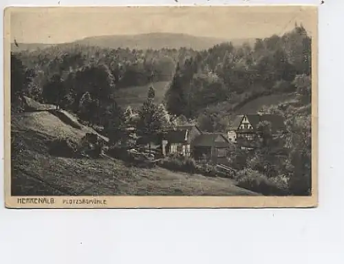 Bad Herrenalb Schwarzwald Plotzsägemühlel gl1930 48.812