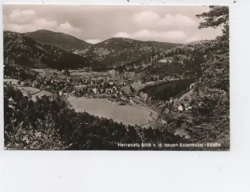 Bad Herrenalb Schwarzw.v.d.Rotensoler Str gl1958 48.818