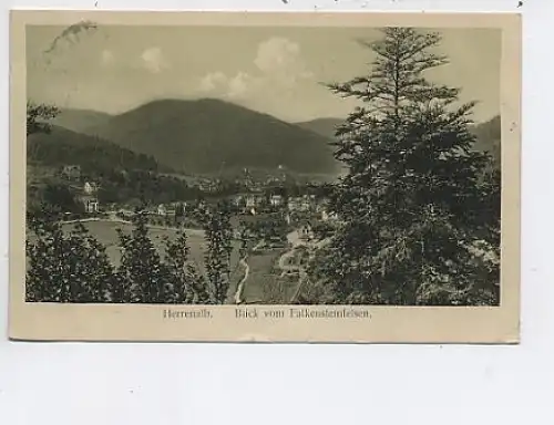 Bad Herrenalb Schwarzw.v.Falkensteinfels gl1912 48.816