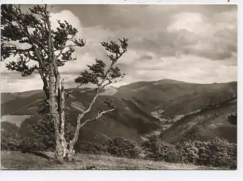 Schauinsland Schwarzwald Blick > Feldberg gl1971 48.906