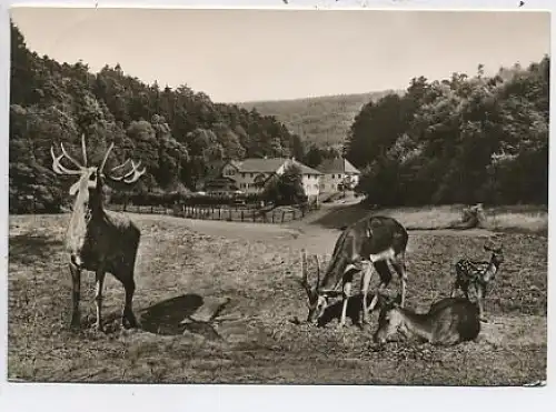 Marxzell Schwarzw.Waldhotel Bergschmiede gl1966 48.872