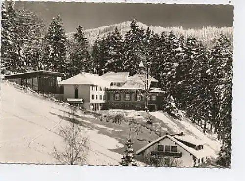 Todtnauberg Schwarzw. Pension Herrihof ngl 48.945