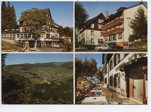 Todtnauberg Schwarzwald Hotel zum Sternen ngl 48.936