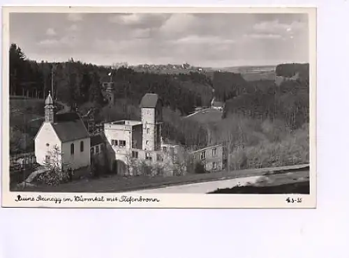 Ruine Steineck Würmtal m Tiefenbronn ngl 49.087