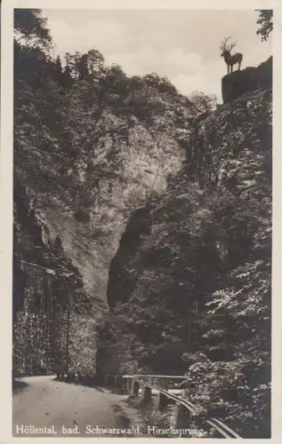 Höllenthal Schwarzwald Hirschsprung ngl 63.805