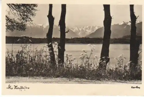 Blick über den Staffelsee >>Alpen gl1951 28.330