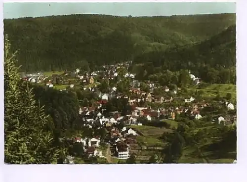 Herrenalb Schwarzwald Gesamtansicht ngl 49.155