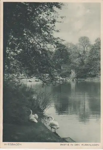 Wiesbaden In den Kuranlagen ngl 64.276