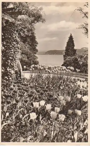 Insel Mainau Bosensee Seeblick bahnpgl1953 63.782