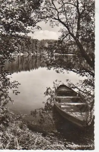Partie am Schluchsee Schwarzwald gl1965 63.803