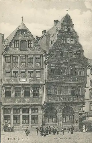 Frankfurt a.M. Haus Frauenstein Salzhaus ngl 132.106