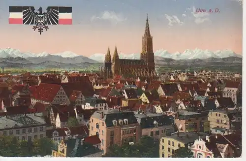 Ulm a.D. Teilansicht Münster Wappen feldpgl1915 68.481