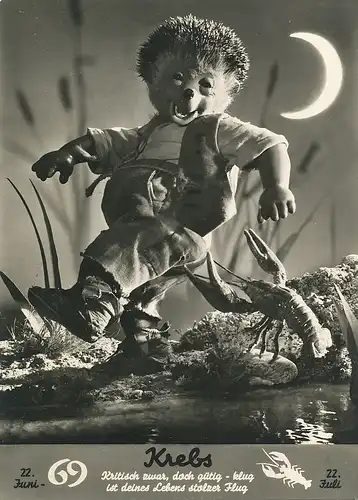 Mecki 507: Sternzeichen Krebs ngl 110.708