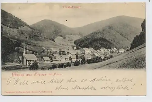 Gruss aus Sieber im Harz gl1901 50.683