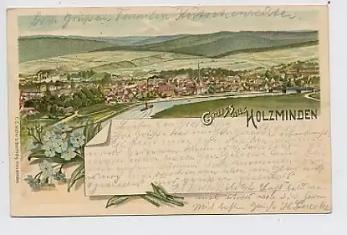 Gruss aus Holzminden Gesamtansicht gl1899 51.774