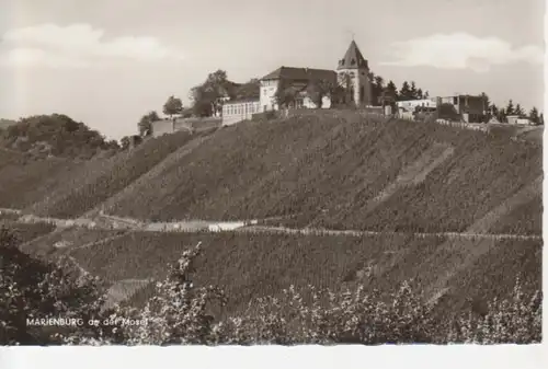 AK Marienburg an der Mosel Weinberge ngl 64.594