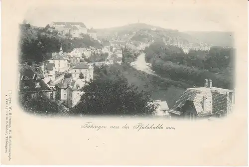 Tübingen von der Pfalzhalde ~1900 ngl 49.329