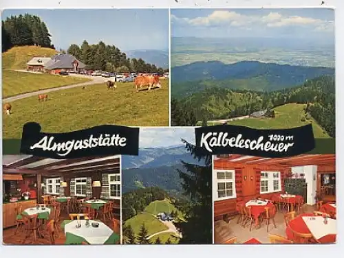 Münstertal Almgaststätte Kälbelesscheuer ngl 44.741