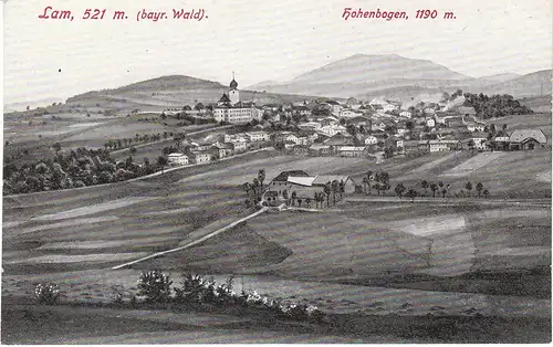 Lam (bayr.Wald) mit Hohenbogen ngl 49.311