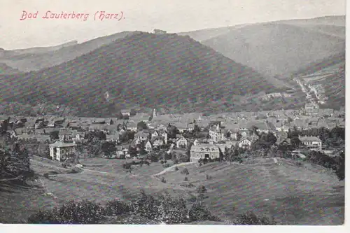 AK Bad Lauterberg (Harz), Gesamtansicht ngl 66.098