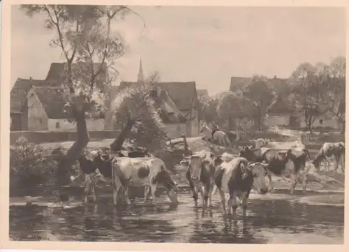 HDK 456 Arnold Moeller, Kühe im Dorfbach ngl 80.253