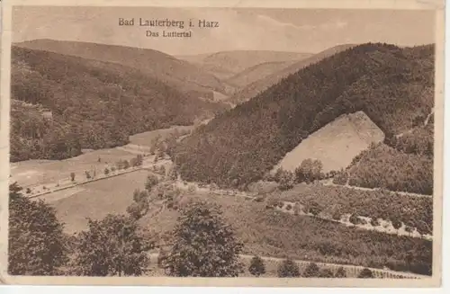 AK Bad Lauterberg /Harz,Das Luttertal glca.1920 66.101