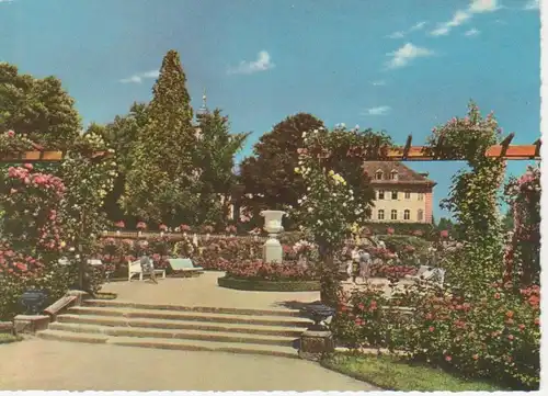 Insel Mainau, Rosengarten ngl 63.440