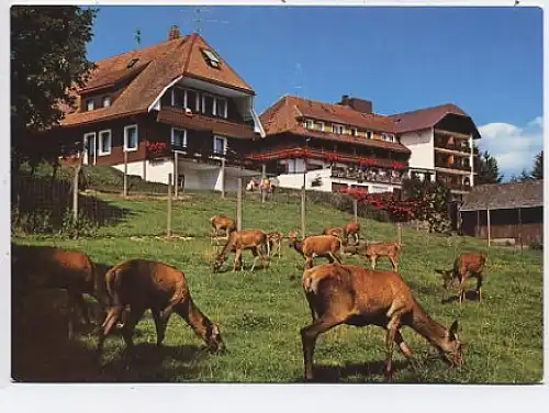 Häusern Schwarzwald Hotel Waldlust ngl 44.722