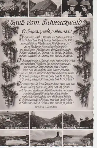 Gruß vom Schwarzwald, Gedicht, Ansichten ngl 63.353