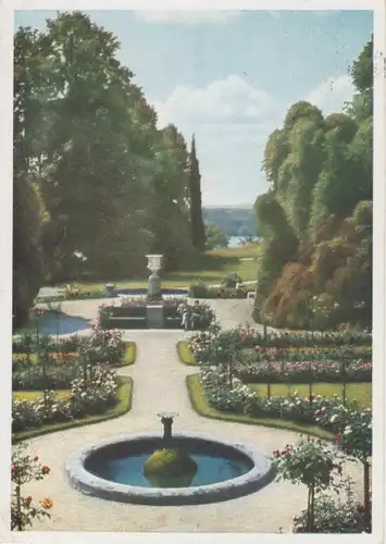 Insel Mainau, Rosengarten, NaturfarbenAK gl1944 63.439