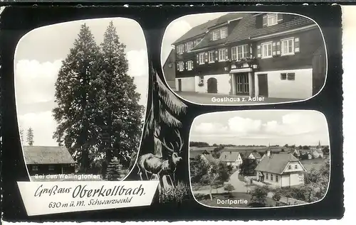 Oberkollbach, Gasthaus Adler, Dorfpartie gl1970 4.561