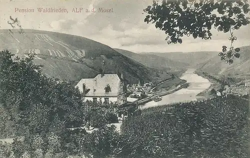 Alf an der Mosel Pension Waldfrieden gl1909 134.133