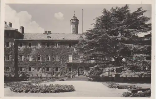 Bad Homburg v.d.H. Schloss Zedernbaum gl1933 11.494
