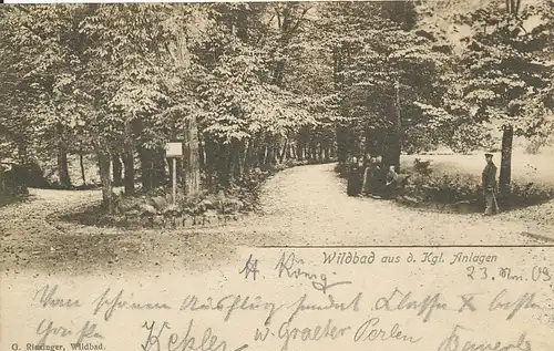 Bad Wildbad Partie in den kgl. Anlagen gl1903 133.650