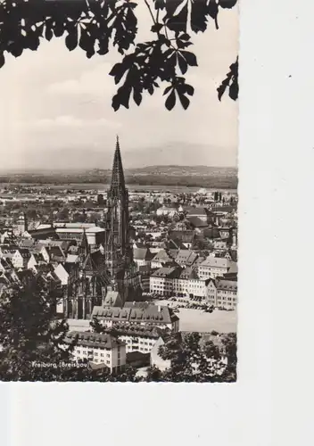 Freiburg i. Br. Gesamtansicht gl1957 13.026