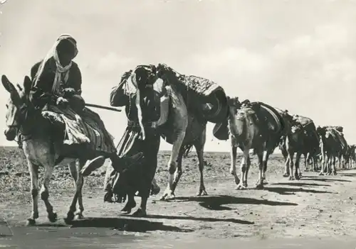 Libanon a caravan gl1980? 103.870