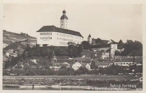 Gundelsheim a.N. Schloß Hornegg ngl 12.953