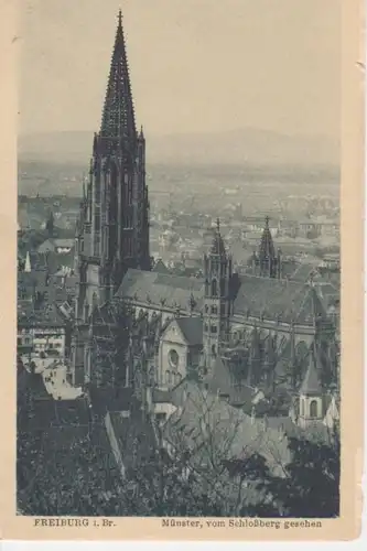 Freiburg Münster vom Schloßberg gesehen ngl 12.886