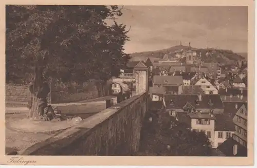 Tübingen - Blick von der Schloßlinde ngl 12.921