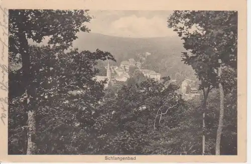 Schlangenbad Bäume gl1915 12.807