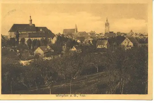 Wimpfen a.B. Totalansicht gl1909 9.951