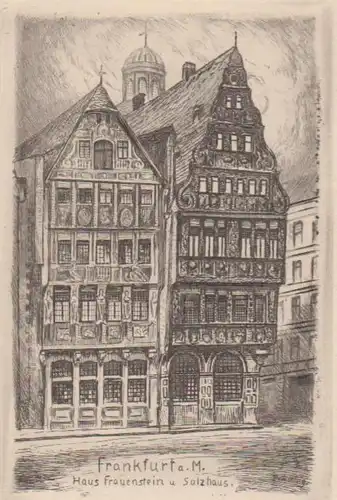 Frankfurt - Haus Frauenstein Salzhaus ngl 12.747