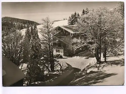 Feldberg Schwarzwald Hotel Jägermatt ngl 14.806