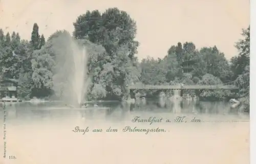 Frankfurt - Gruss aus dem Palmengarten ngl 12.742