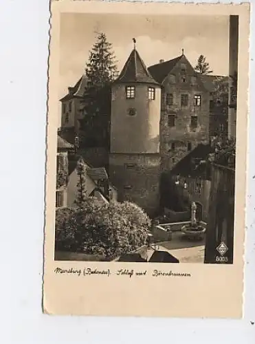 Meersburg Bodensee Schloß Bärenbrunnen gl1938 14.202