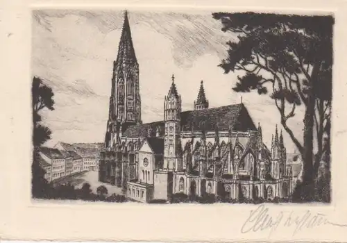 Freiburg i. Br. - Münster ngl 13.008