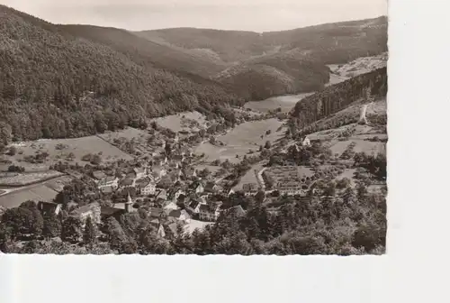 Herrenalb Schwarzwald - Gesamtansicht gl1959 13.027